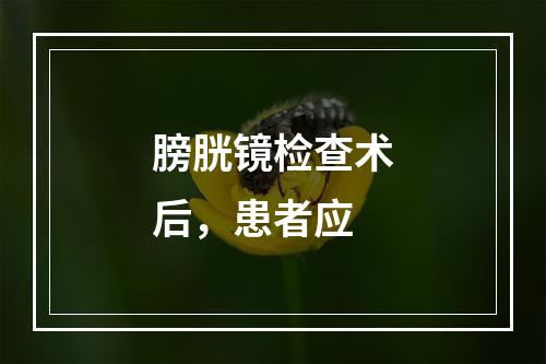 膀胱镜检查术后，患者应