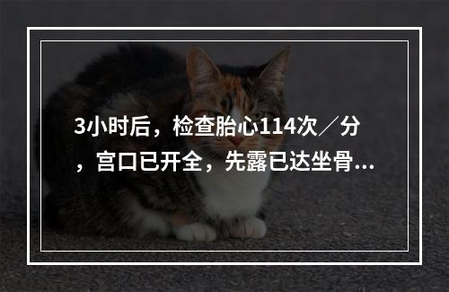 3小时后，检查胎心114次／分，宫口已开全，先露已达坐骨棘平