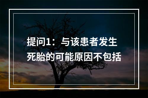 提问1：与该患者发生死胎的可能原因不包括