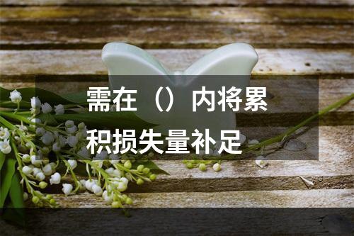 需在（）内将累积损失量补足