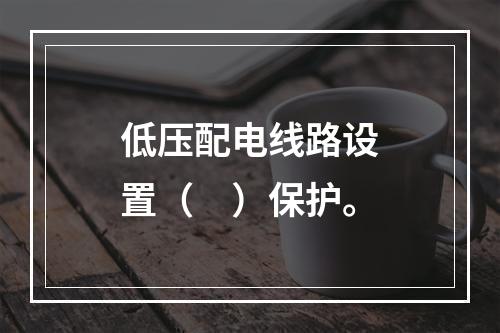 低压配电线路设置（　）保护。