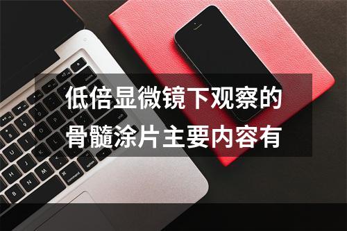 低倍显微镜下观察的骨髓涂片主要内容有