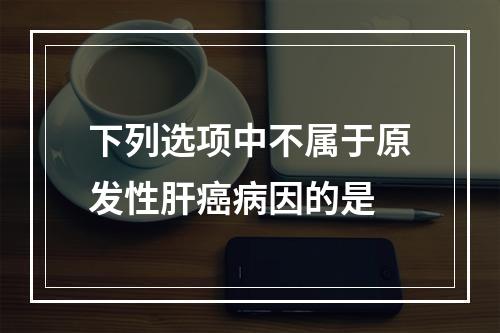 下列选项中不属于原发性肝癌病因的是