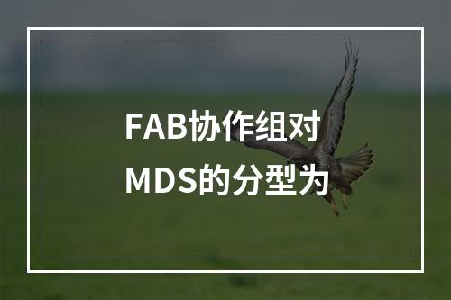 FAB协作组对MDS的分型为