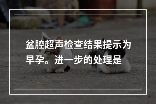 盆腔超声检查结果提示为早孕。进一步的处理是