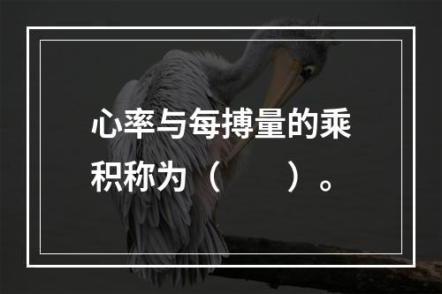 心率与每搏量的乘积称为（　　）。