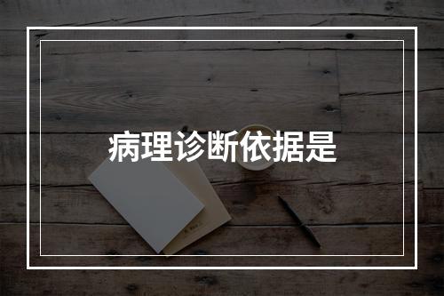 病理诊断依据是