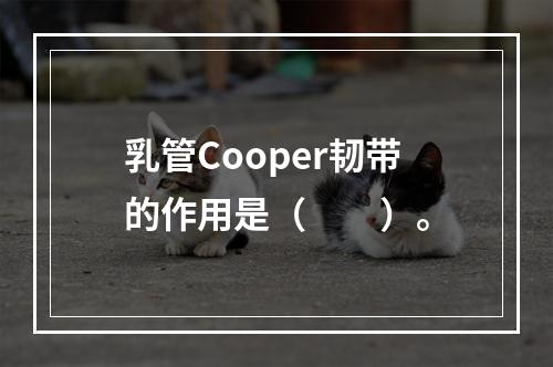 乳管Cooper韧带的作用是（　　）。