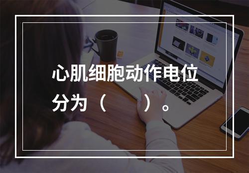 心肌细胞动作电位分为（　　）。