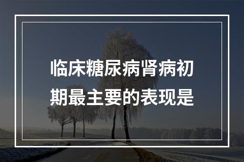 临床糖尿病肾病初期最主要的表现是