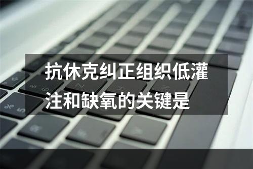 抗休克纠正组织低灌注和缺氧的关键是