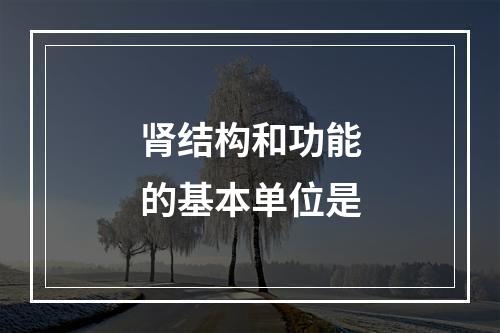 肾结构和功能的基本单位是