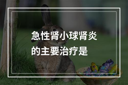 急性肾小球肾炎的主要治疗是