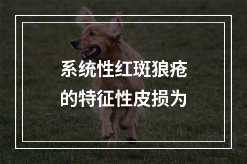 系统性红斑狼疮的特征性皮损为