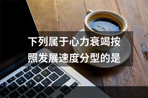 下列属于心力衰竭按照发展速度分型的是