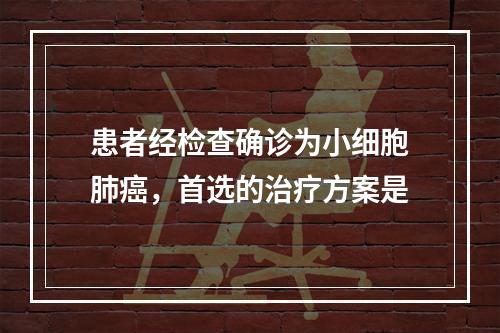 患者经检查确诊为小细胞肺癌，首选的治疗方案是