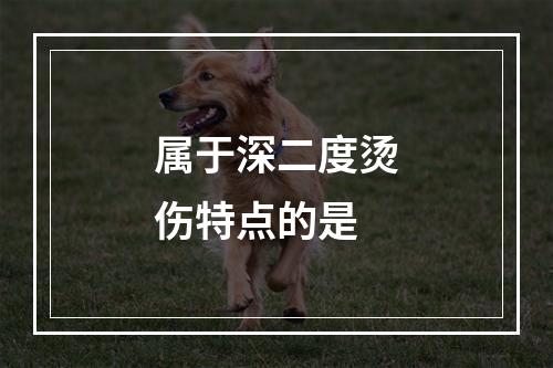 属于深二度烫伤特点的是