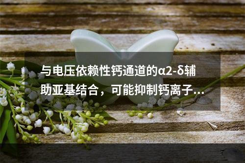 与电压依赖性钙通道的α2-δ辅助亚基结合，可能抑制钙离子内流