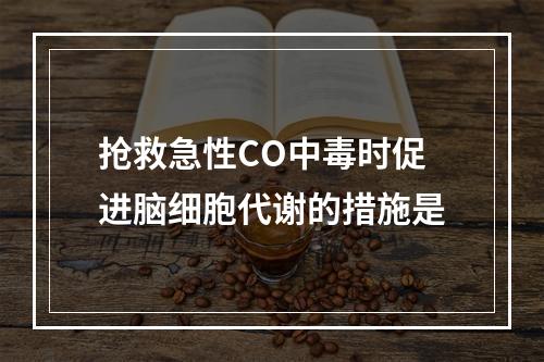 抢救急性CO中毒时促进脑细胞代谢的措施是