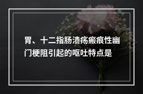 胃、十二指肠溃疡瘢痕性幽门梗阻引起的呕吐特点是