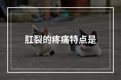 肛裂的疼痛特点是