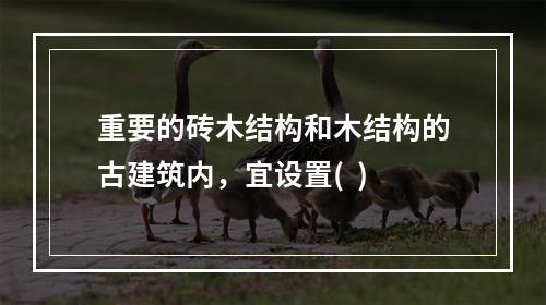 重要的砖木结构和木结构的古建筑内，宜设置(  )