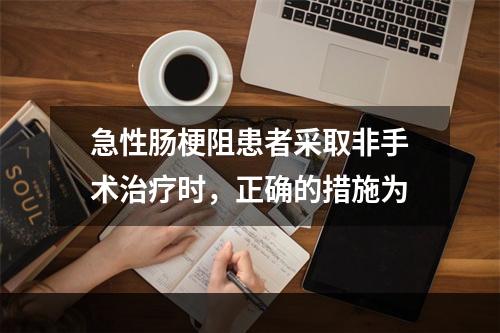 急性肠梗阻患者采取非手术治疗时，正确的措施为