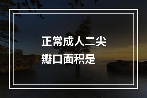 正常成人二尖瓣口面积是