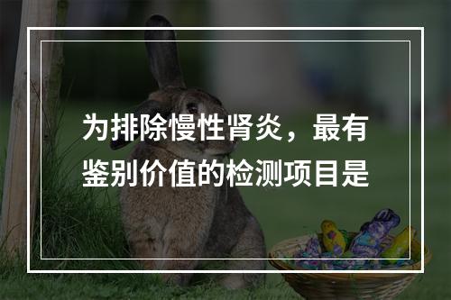 为排除慢性肾炎，最有鉴别价值的检测项目是