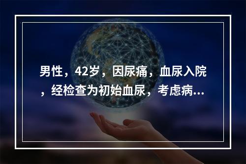 男性，42岁，因尿痛，血尿入院，经检查为初始血尿，考虑病变在