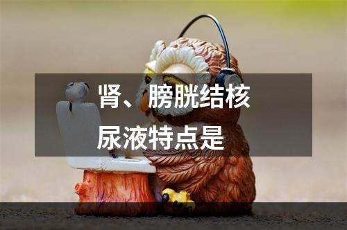 肾、膀胱结核尿液特点是