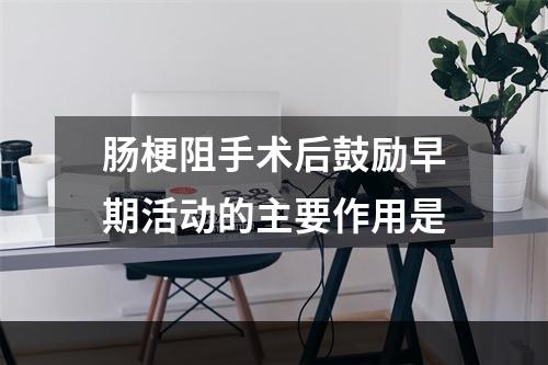 肠梗阻手术后鼓励早期活动的主要作用是