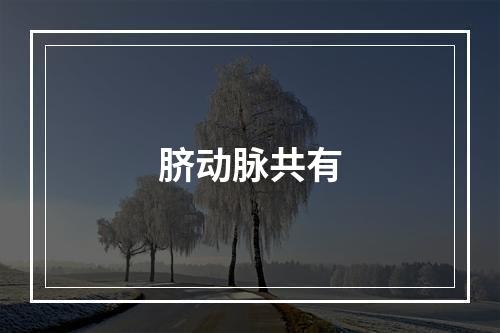 脐动脉共有