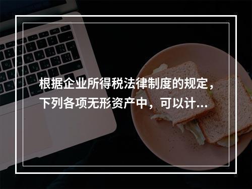 根据企业所得税法律制度的规定，下列各项无形资产中，可以计算摊