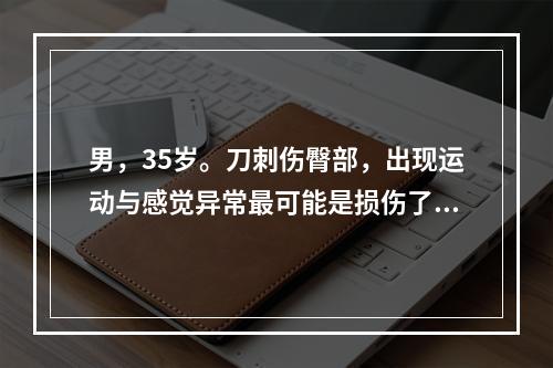 男，35岁。刀刺伤臀部，出现运动与感觉异常最可能是损伤了哪种