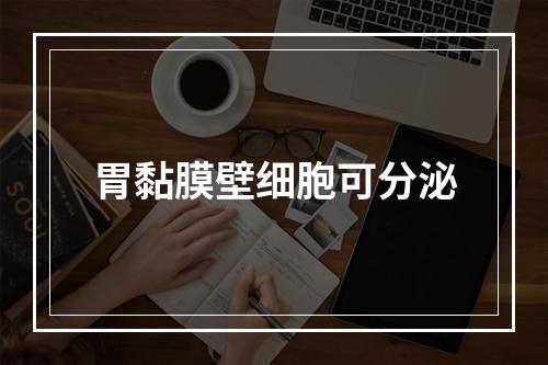 胃黏膜壁细胞可分泌