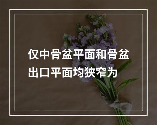 仅中骨盆平面和骨盆出口平面均狭窄为