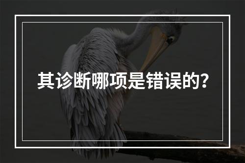 其诊断哪项是错误的？