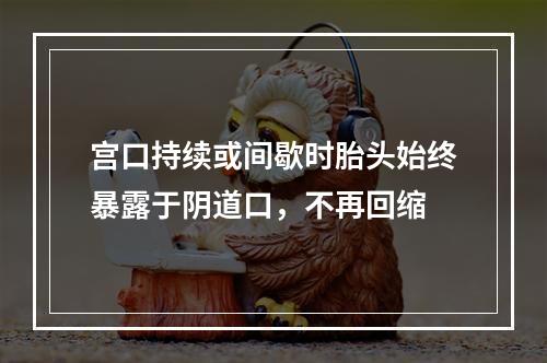 宫口持续或间歇时胎头始终暴露于阴道口，不再回缩