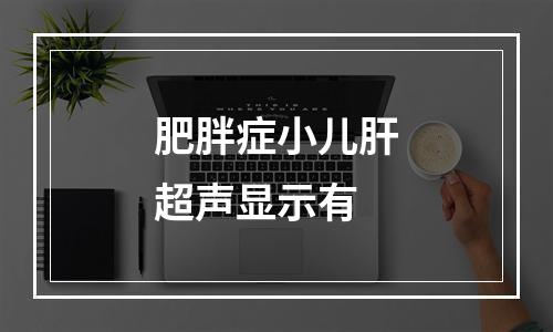 肥胖症小儿肝超声显示有