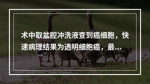 术中取盆腔冲洗液查到癌细胞，快速病理结果为透明细胞癌，最深处