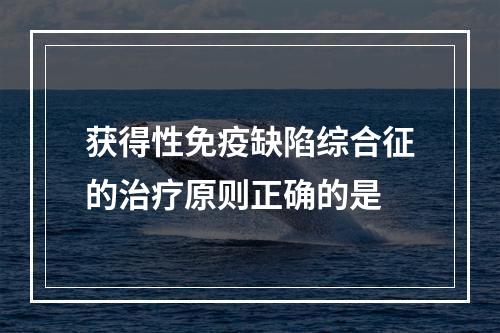 获得性免疫缺陷综合征的治疗原则正确的是