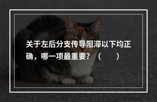 关于左后分支传导阻滞以下均正确，哪一项最重要？（　　）