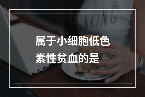 属于小细胞低色素性贫血的是