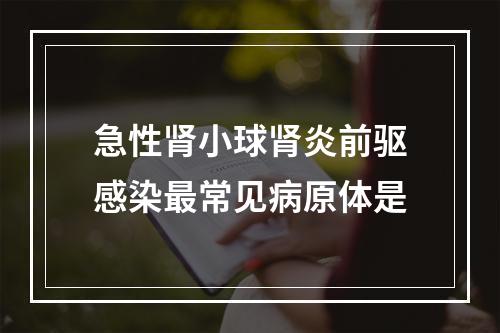 急性肾小球肾炎前驱感染最常见病原体是