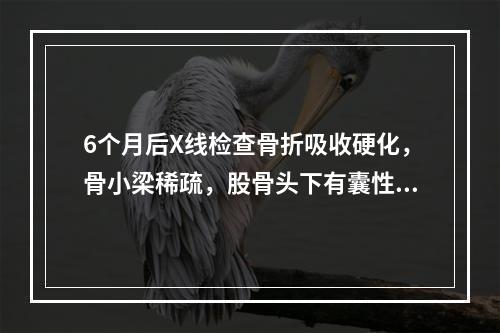 6个月后X线检查骨折吸收硬化，骨小梁稀疏，股骨头下有囊性变化