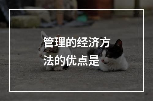 管理的经济方法的优点是