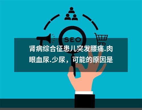 肾病综合征患儿突发腰痛.肉眼血尿.少尿，可能的原因是