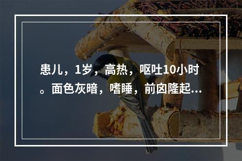 患儿，1岁，高热，呕吐10小时。面色灰暗，嗜睡，前囟隆起，颈