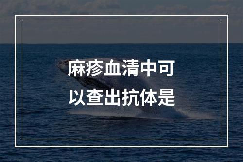 麻疹血清中可以查出抗体是